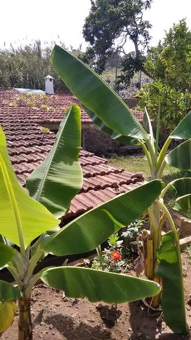 Holiday home Rural House To Take A Break, La Serreria 25 - Private Garden Tacoronte