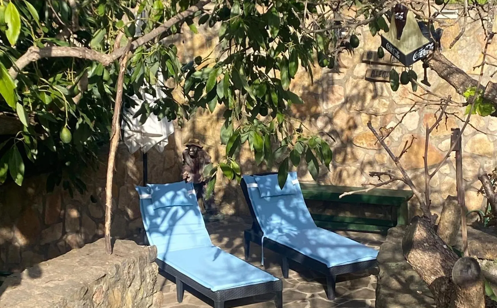 Rural House To Take A Break, La Serreria 25 - Private Garden Tacoronte Holiday home