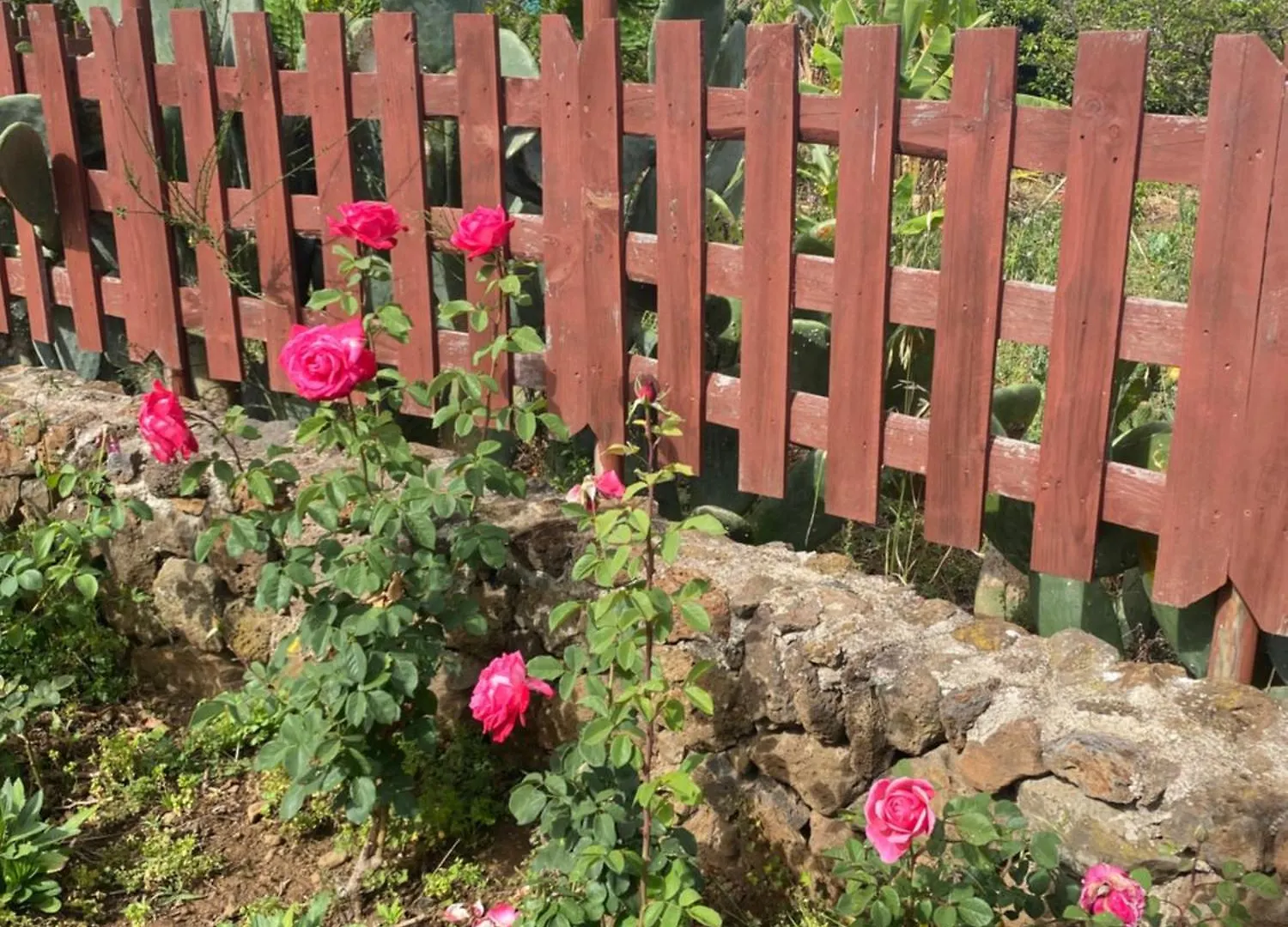 Rural House To Take A Break, La Serreria 25 - Private Garden Tacoronte