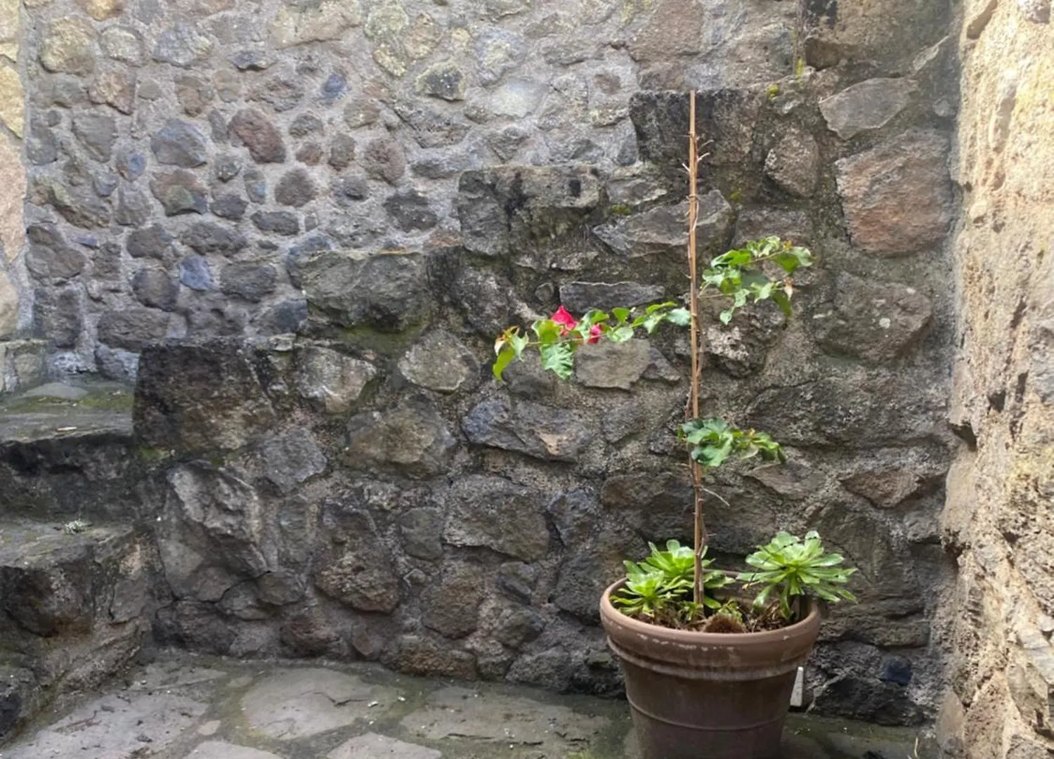 Holiday home Rural House To Take A Break, La Serreria 25 - Private Garden Tacoronte