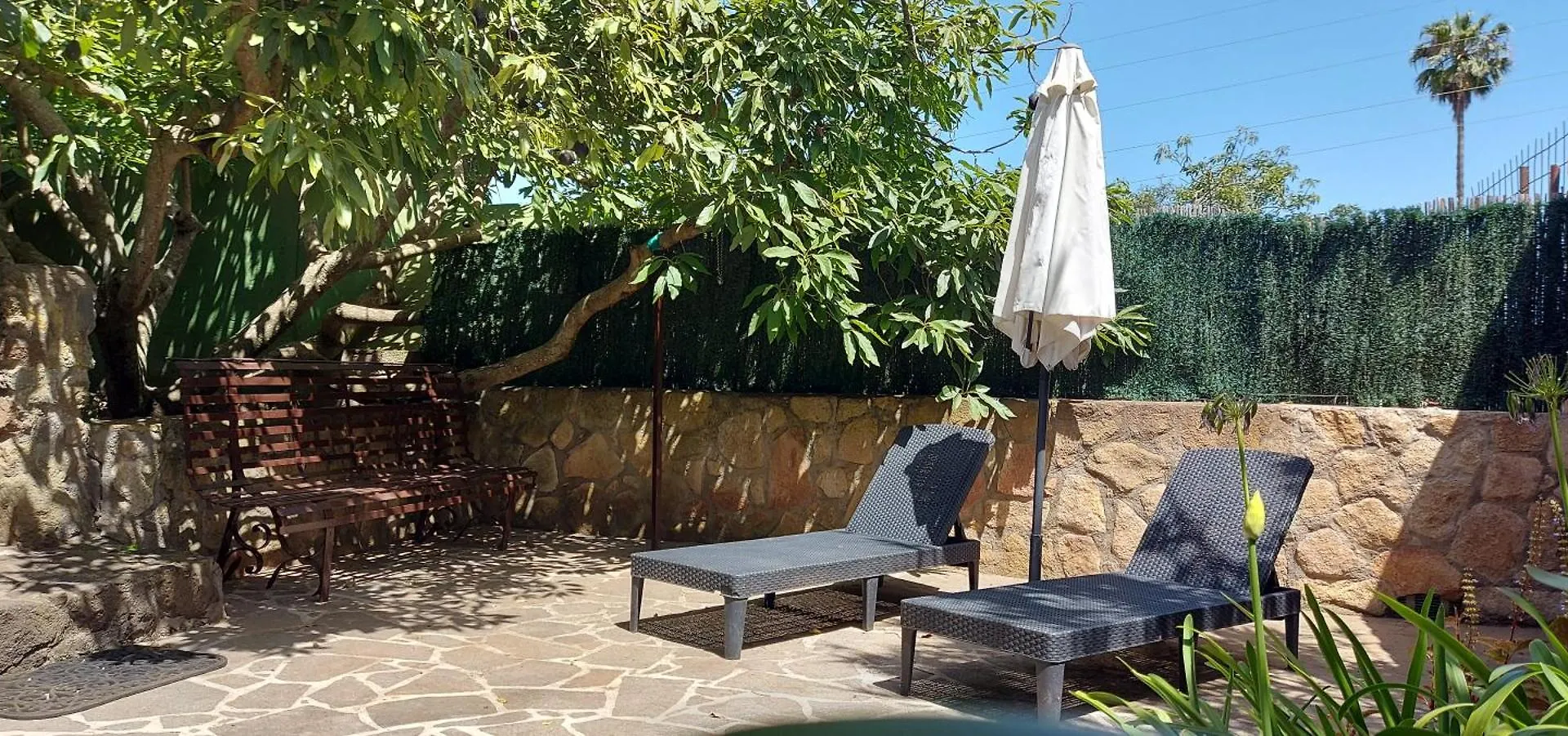 Holiday home Rural House To Take A Break, La Serreria 25 - Private Garden Tacoronte Spain