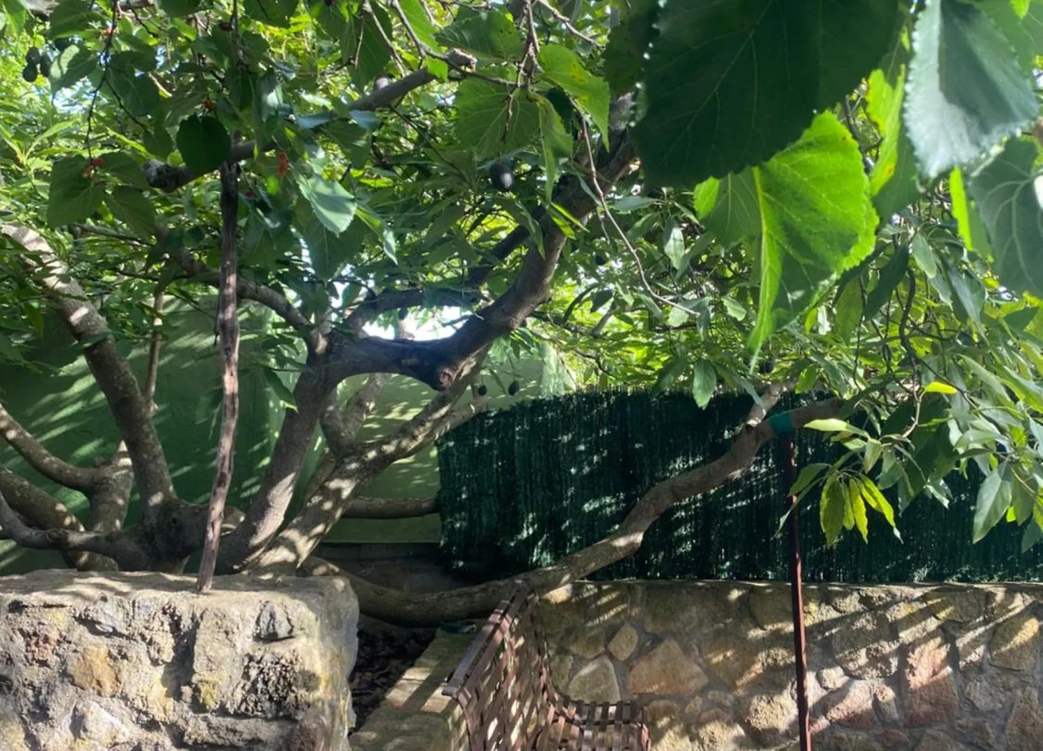 Rural House To Take A Break, La Serreria 25 - Private Garden Tacoronte Holiday home